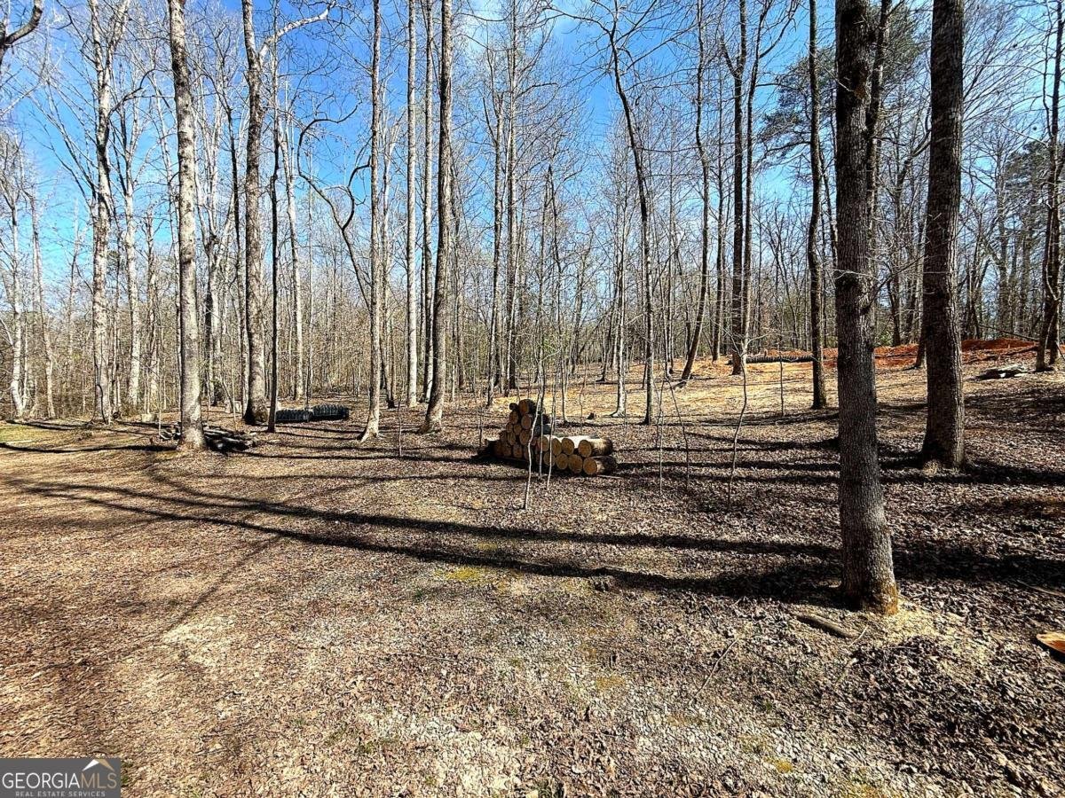 1125 Pecks Road Dahlonega - Photo 10