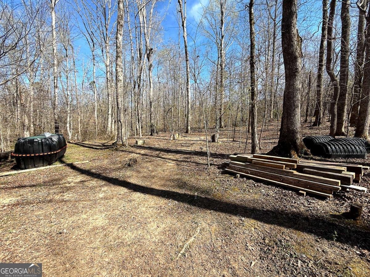 1125 Pecks Road Dahlonega - Photo 11