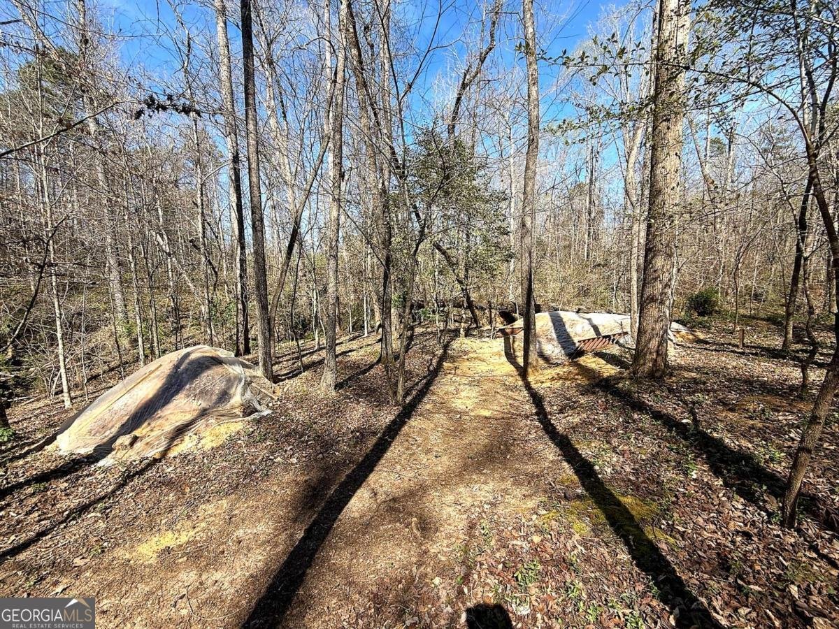 1125 Pecks Road Dahlonega - Photo 12