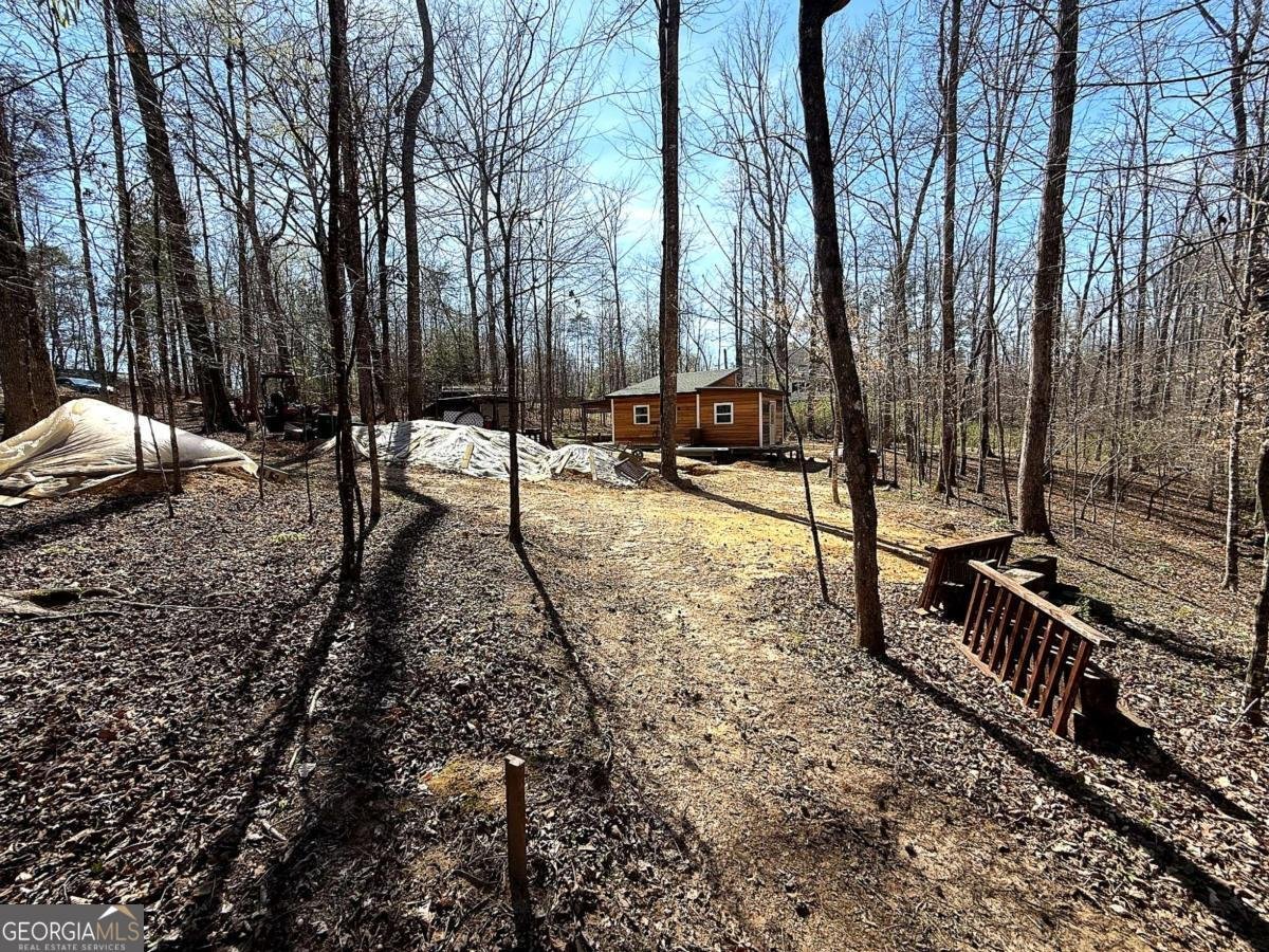 1125 Pecks Road Dahlonega - Photo 13