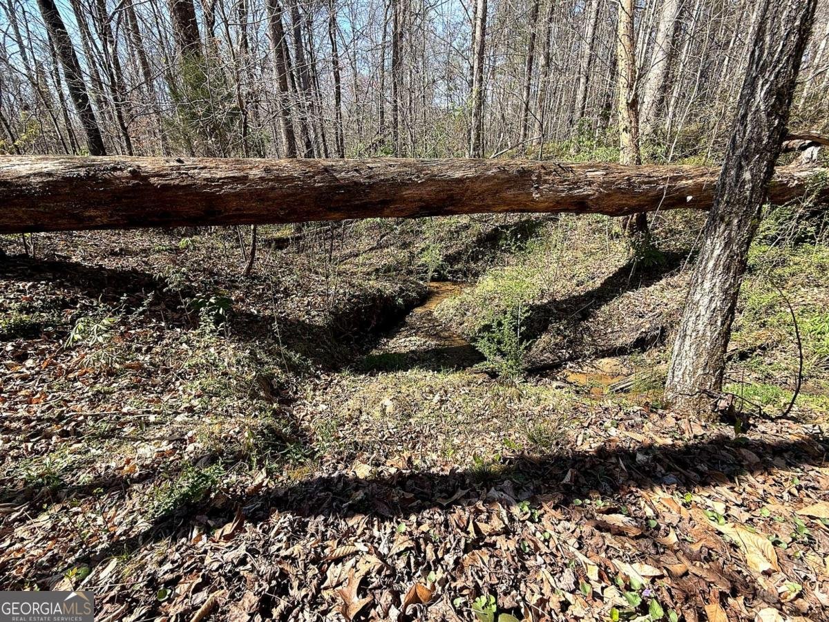 1125 Pecks Road Dahlonega - Photo 14