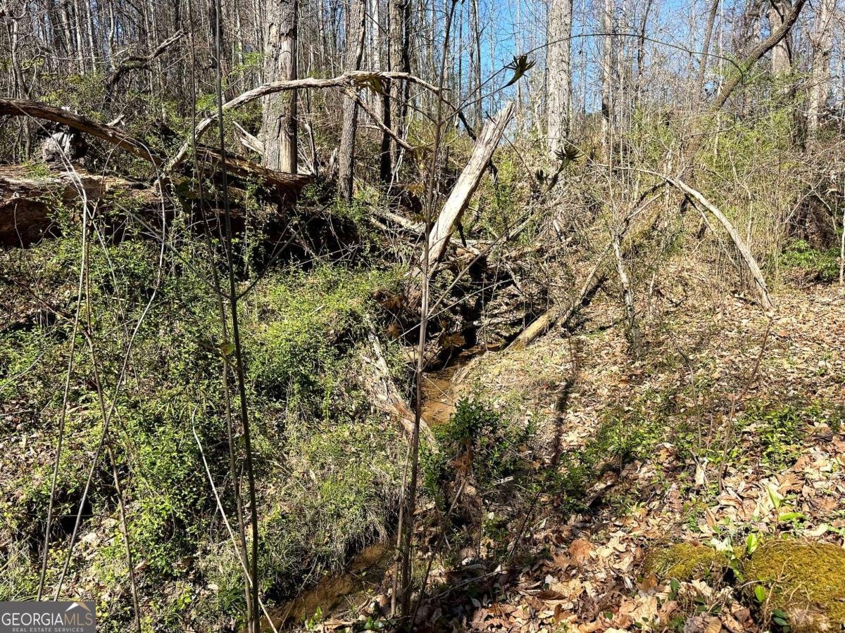 1125 Pecks Road Dahlonega - Photo 15