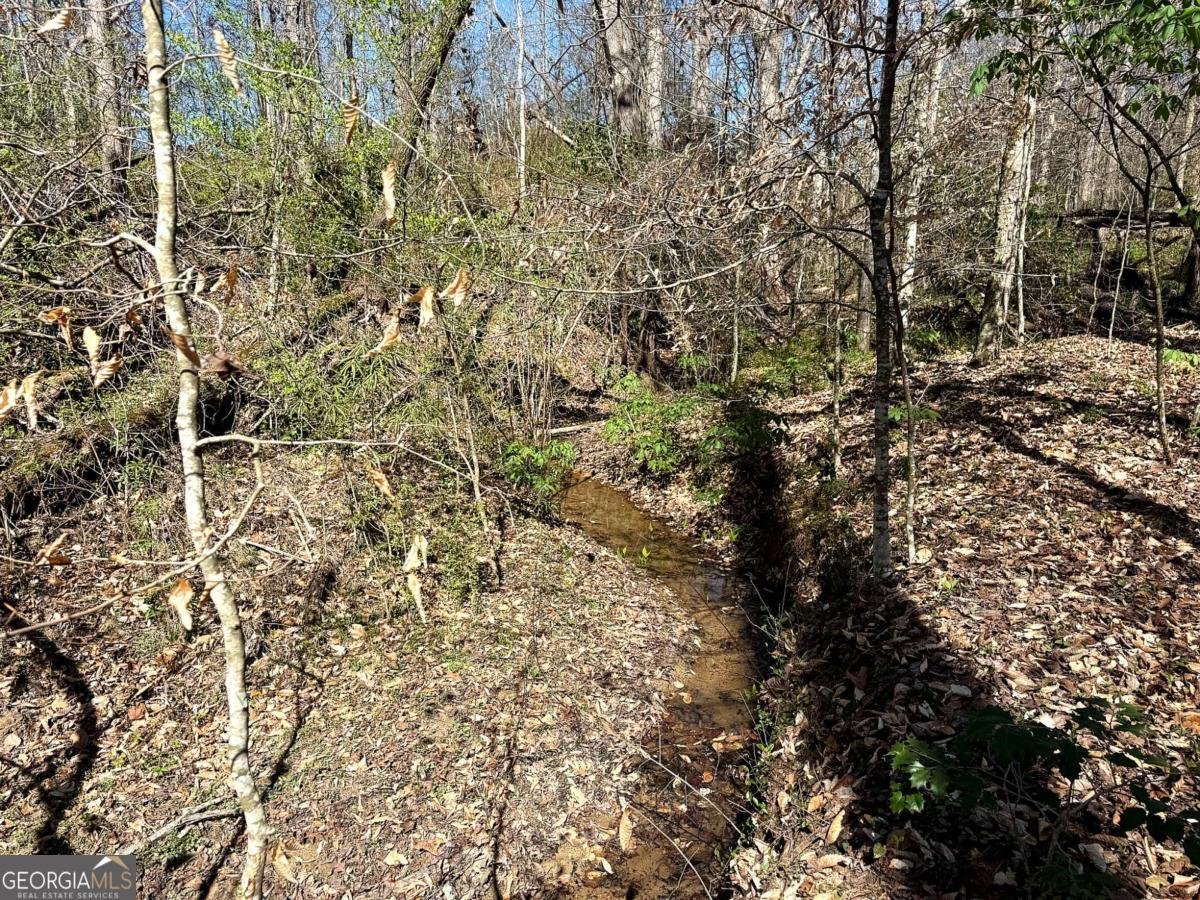 1125 Pecks Road Dahlonega - Photo 16