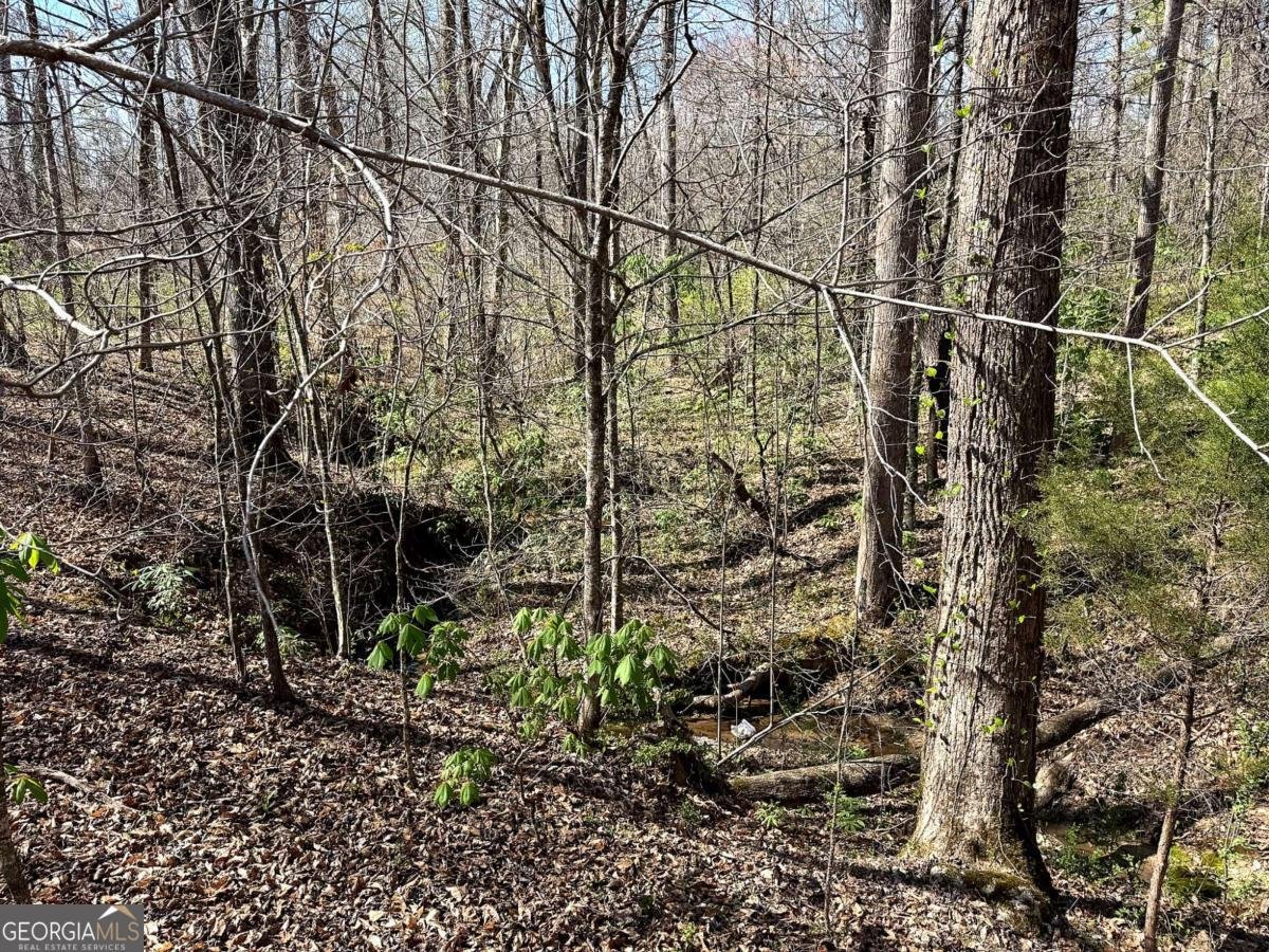 1125 Pecks Road Dahlonega - Photo 17