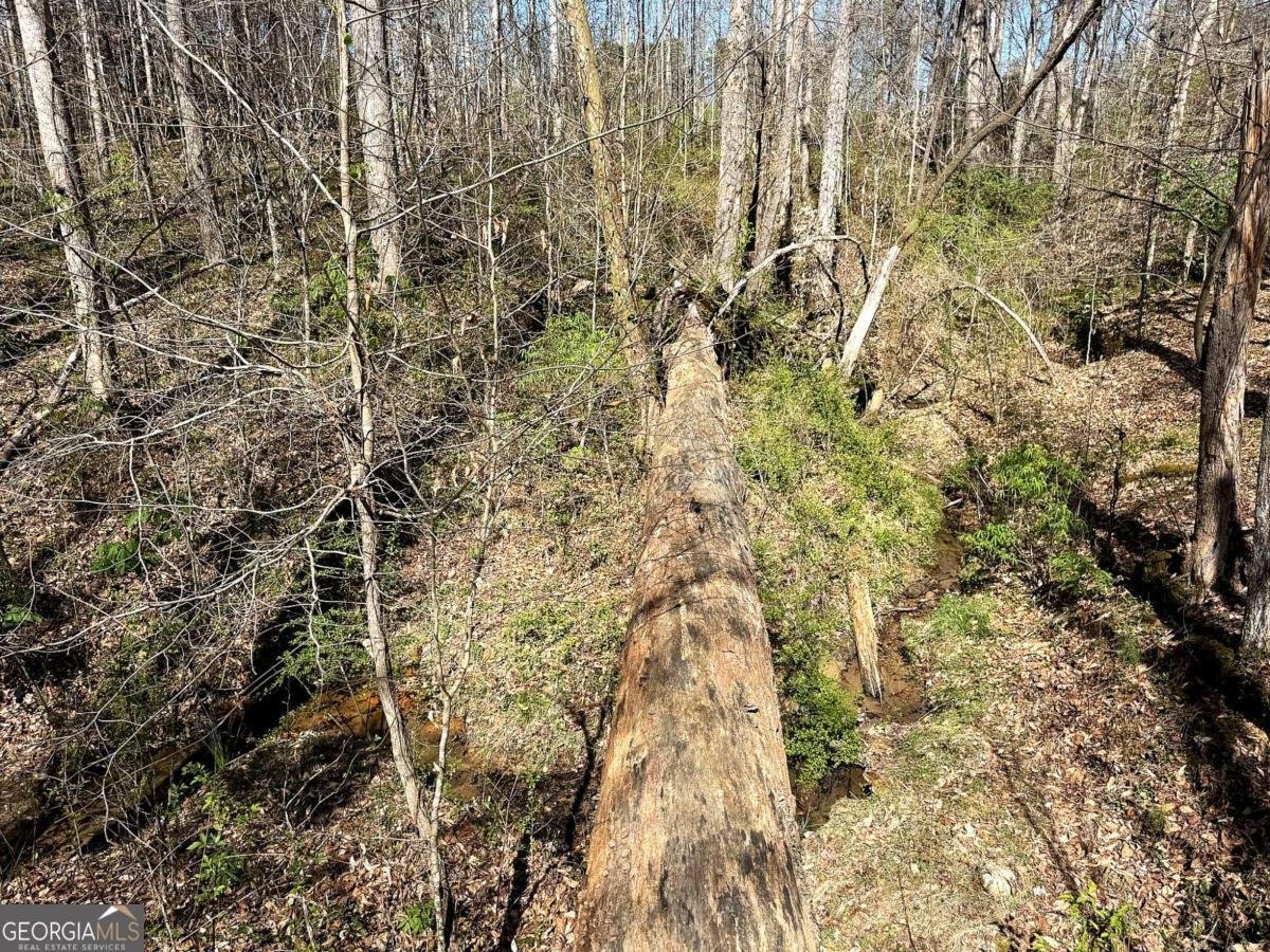 1125 Pecks Road Dahlonega - Photo 18