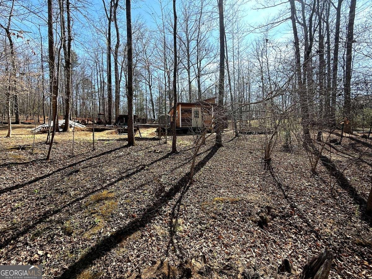 1125 Pecks Road Dahlonega - Photo 19