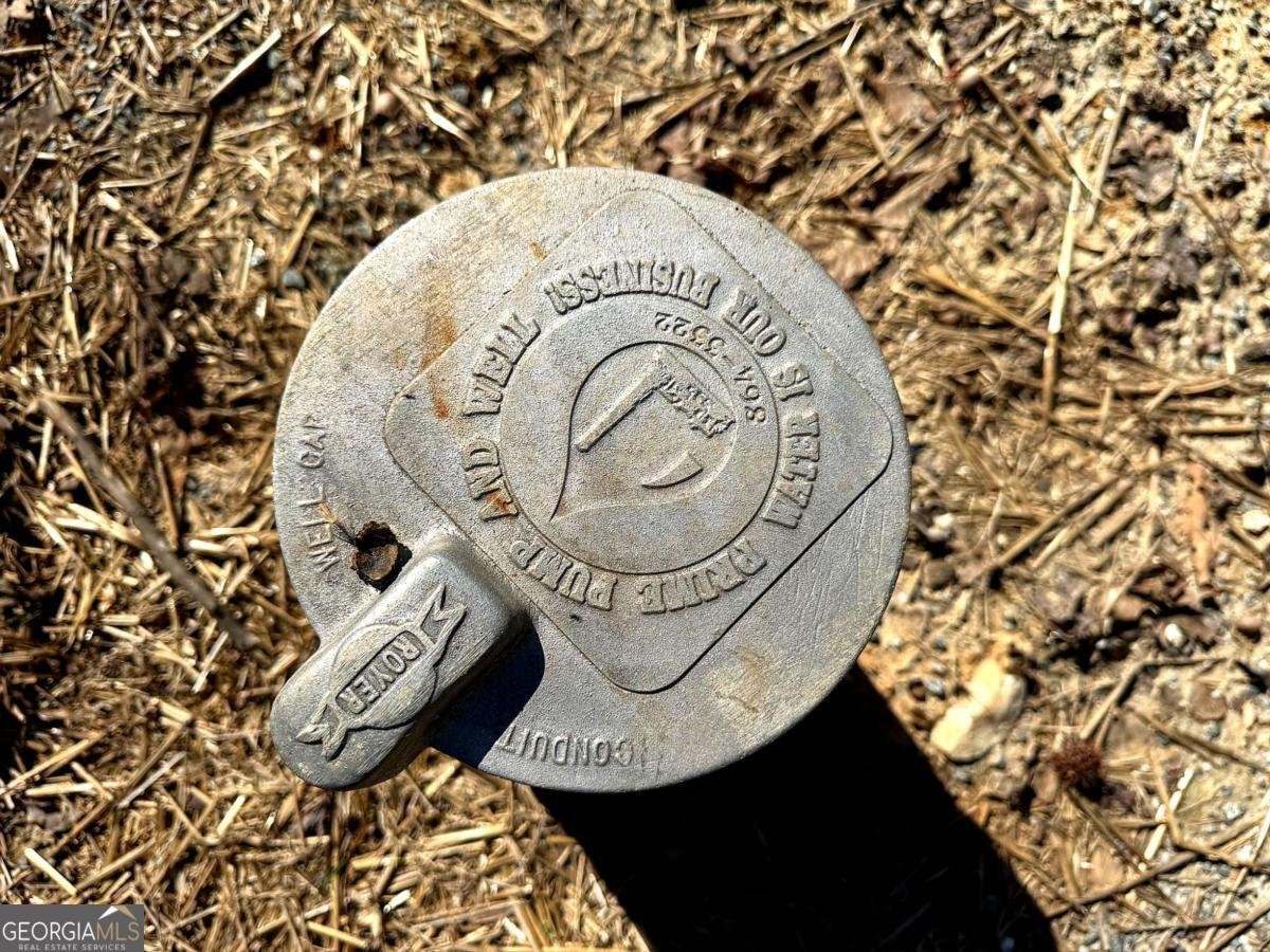 1125 Pecks Road Dahlonega - Photo 29