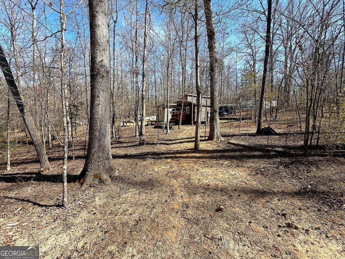 1125 Pecks Road Dahlonega - Photo 31