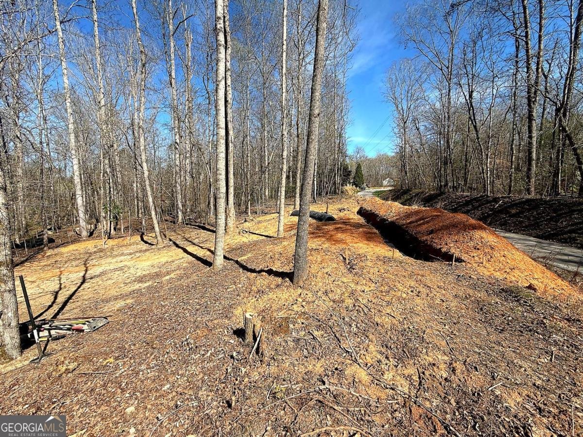 1125 Pecks Road Dahlonega - Photo 35