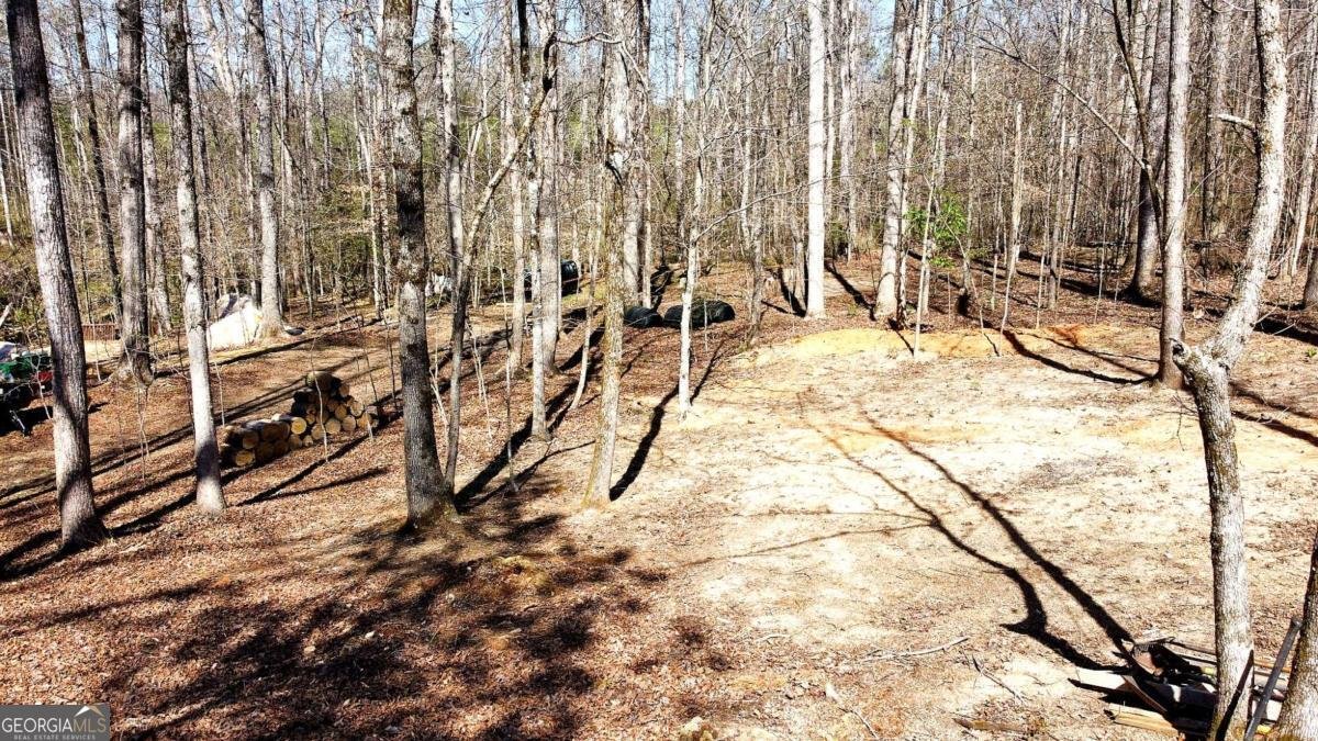 1125 Pecks Road Dahlonega - Photo 8