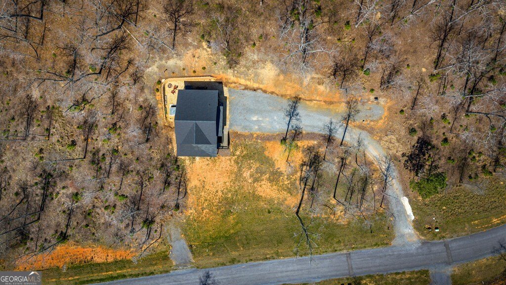 78 Lake Top Lane Ellijay - Photo 58