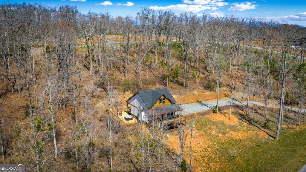 78 Lake Top Lane Ellijay - Photo 64
