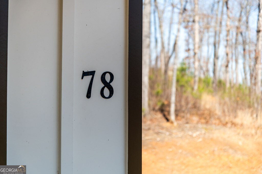 78 Lake Top Lane Ellijay - Photo 71