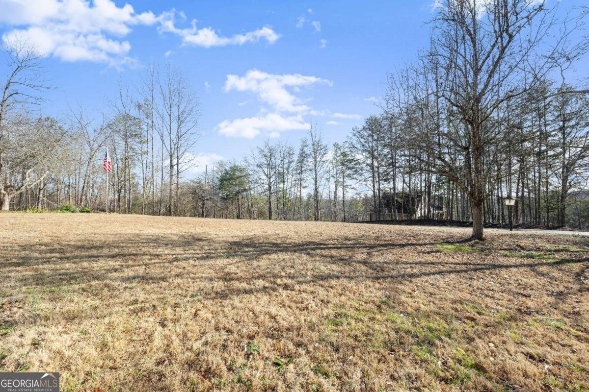 105 Pinewood Place Dahlonega - Photo 43