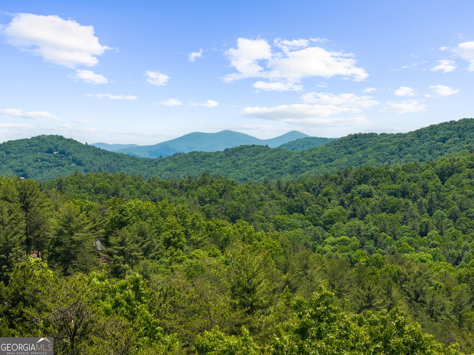 436 Geronimo Road Blue Ridge - Photo 103