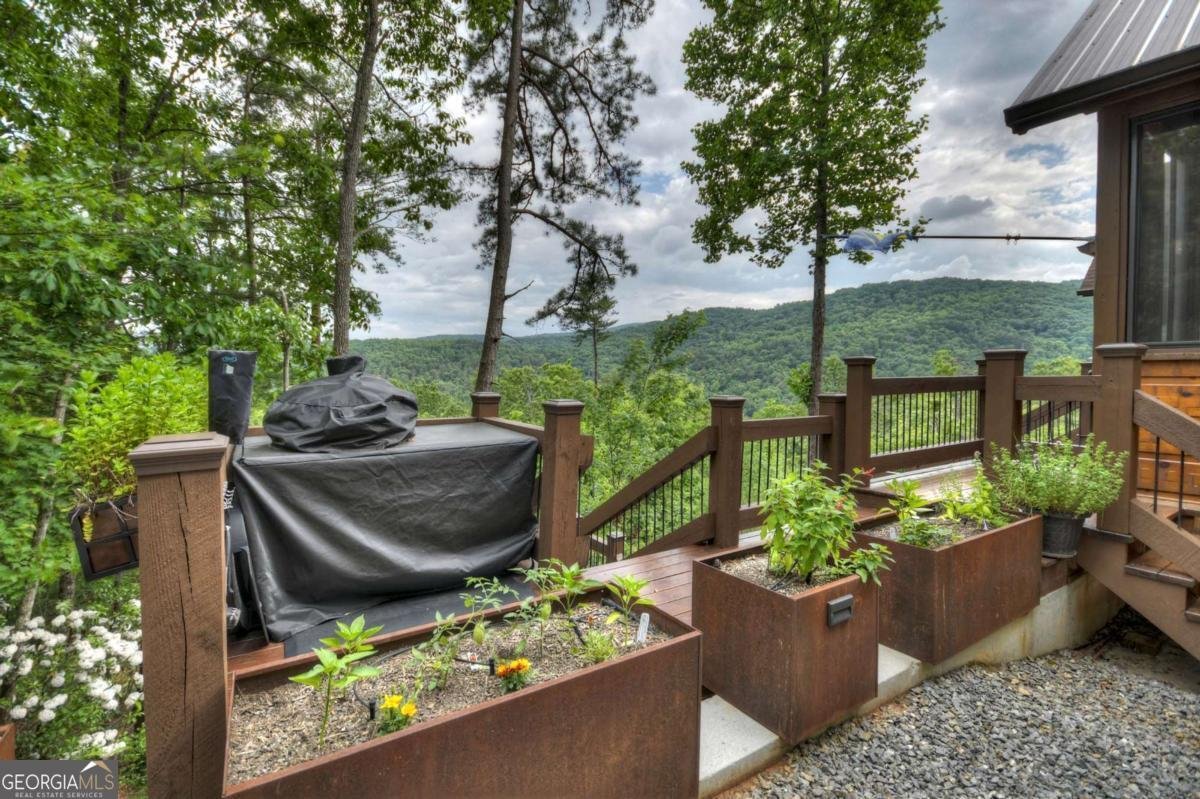 436 Geronimo Road Blue Ridge - Photo 70