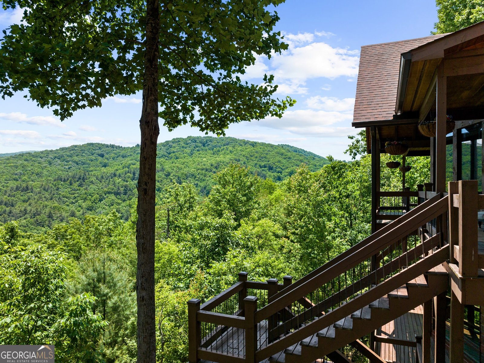 436 Geronimo Road Blue Ridge - Photo 98