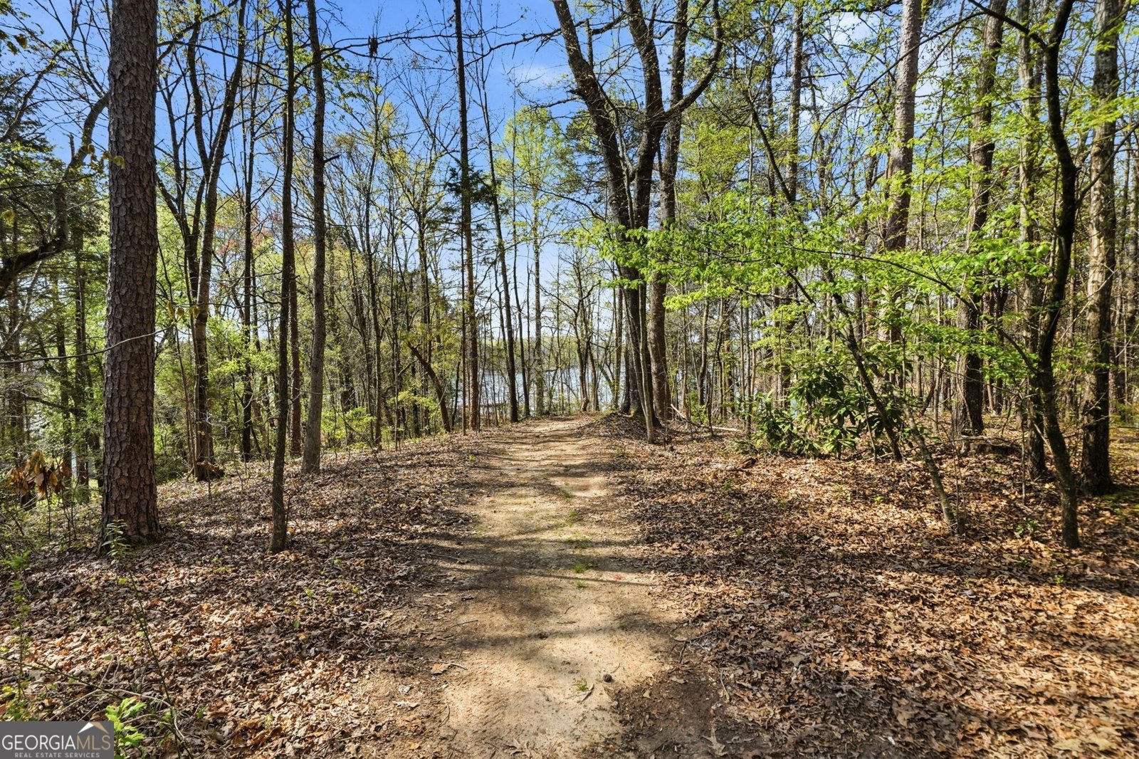 181 Woodland Circle Dawsonville - Photo 34