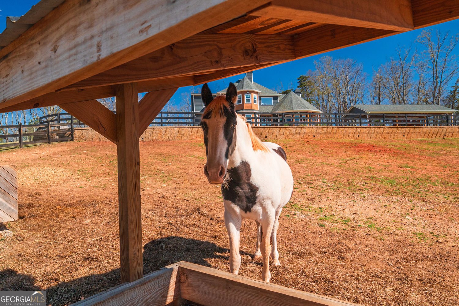 463 Valley Road Rydal - Photo 45