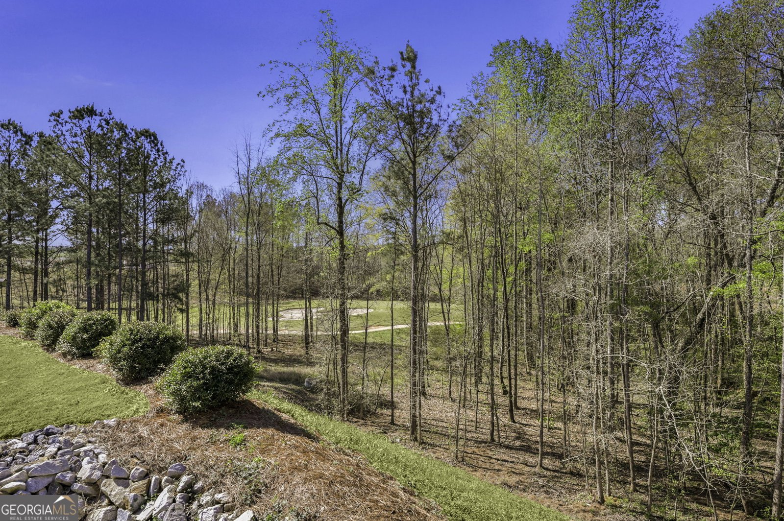 157 Chinkapin Court Griffin - Photo 34