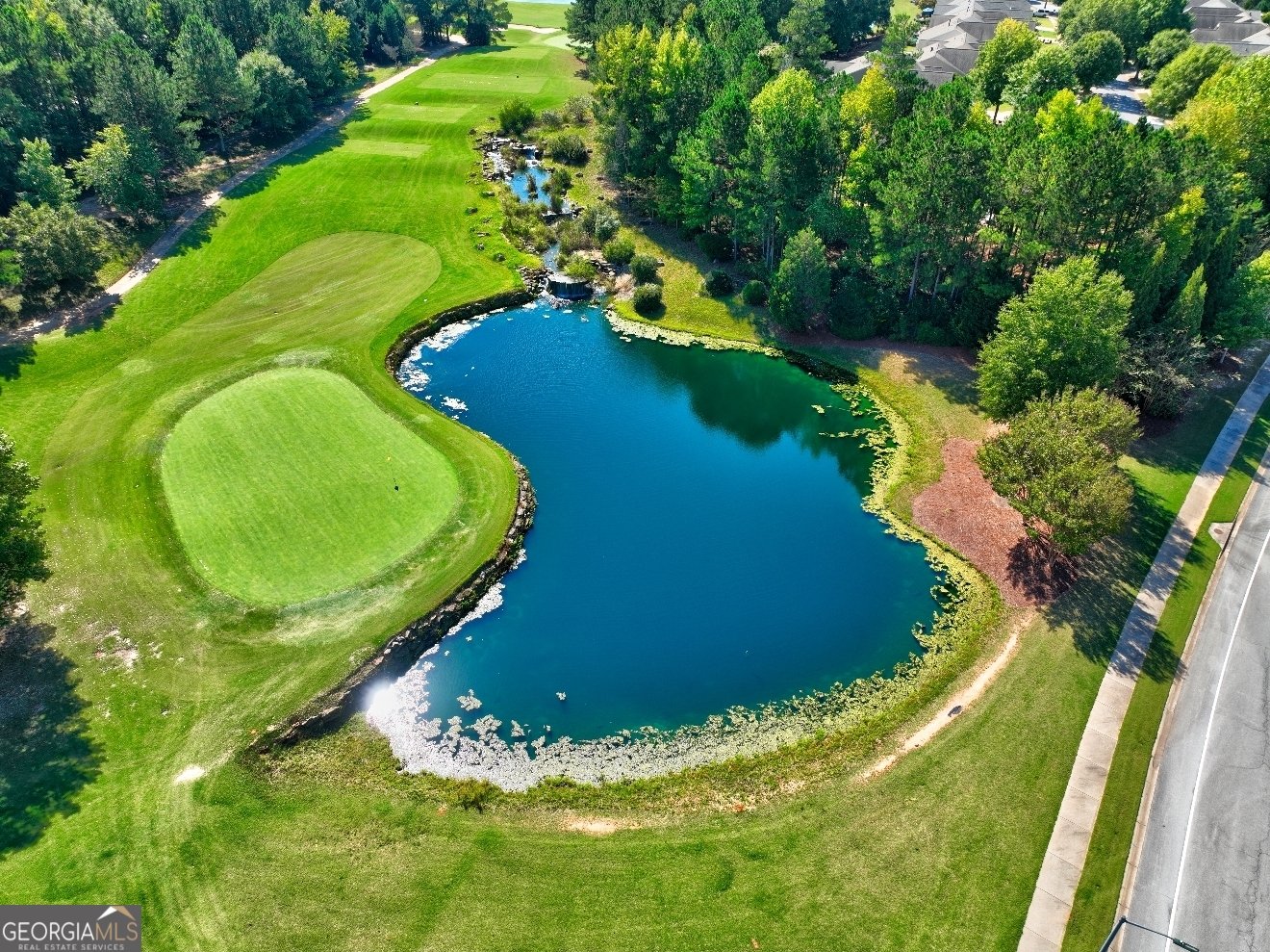 157 Chinkapin Court Griffin - Photo 37