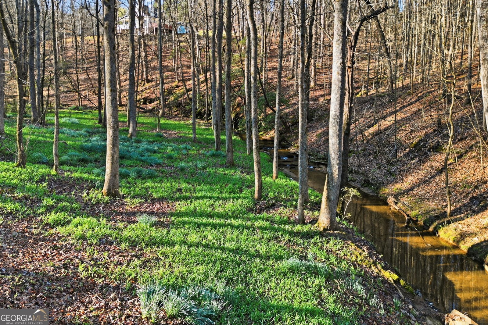 149 Hidden Creek Road Jasper - Photo 41