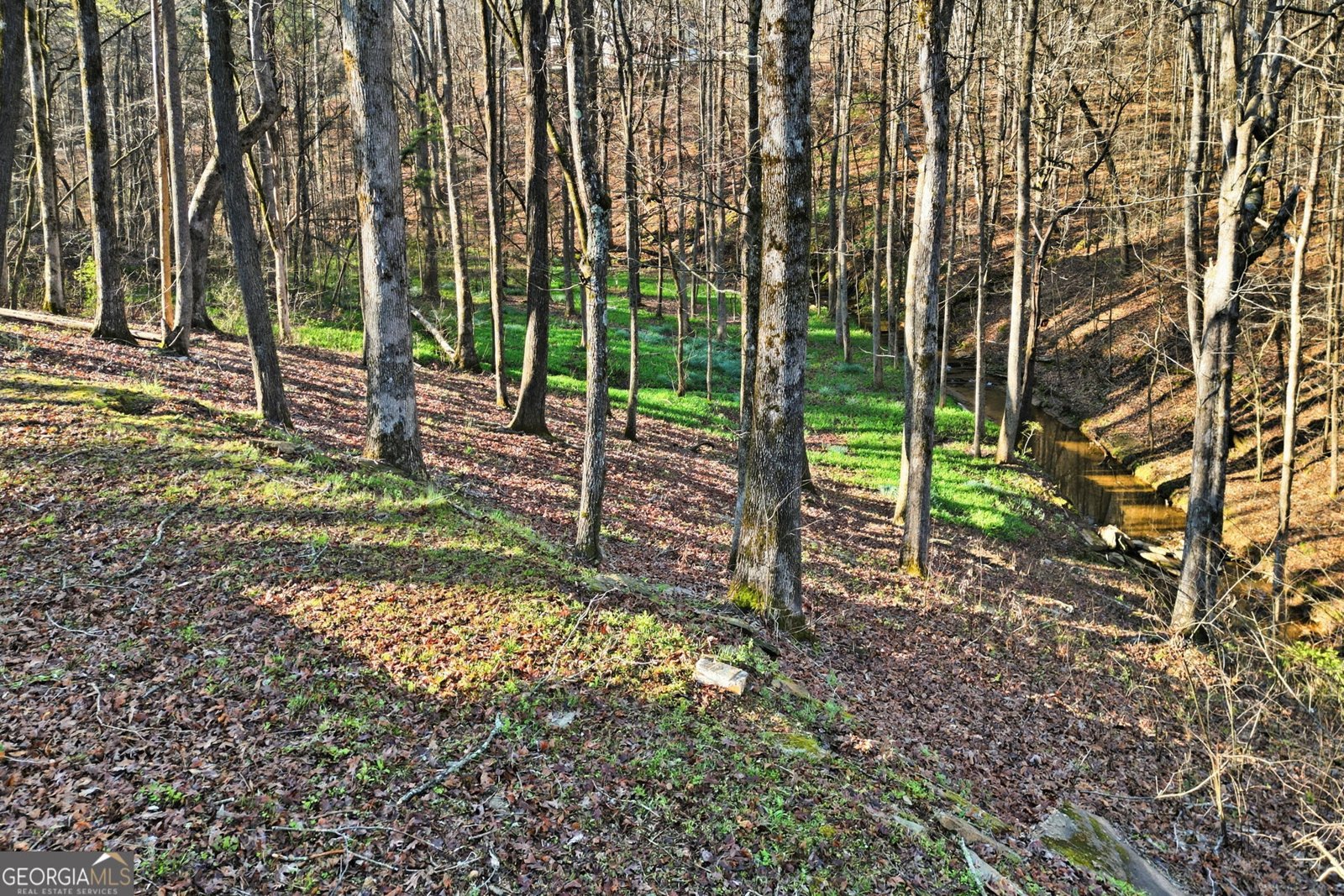 149 Hidden Creek Road Jasper - Photo 42