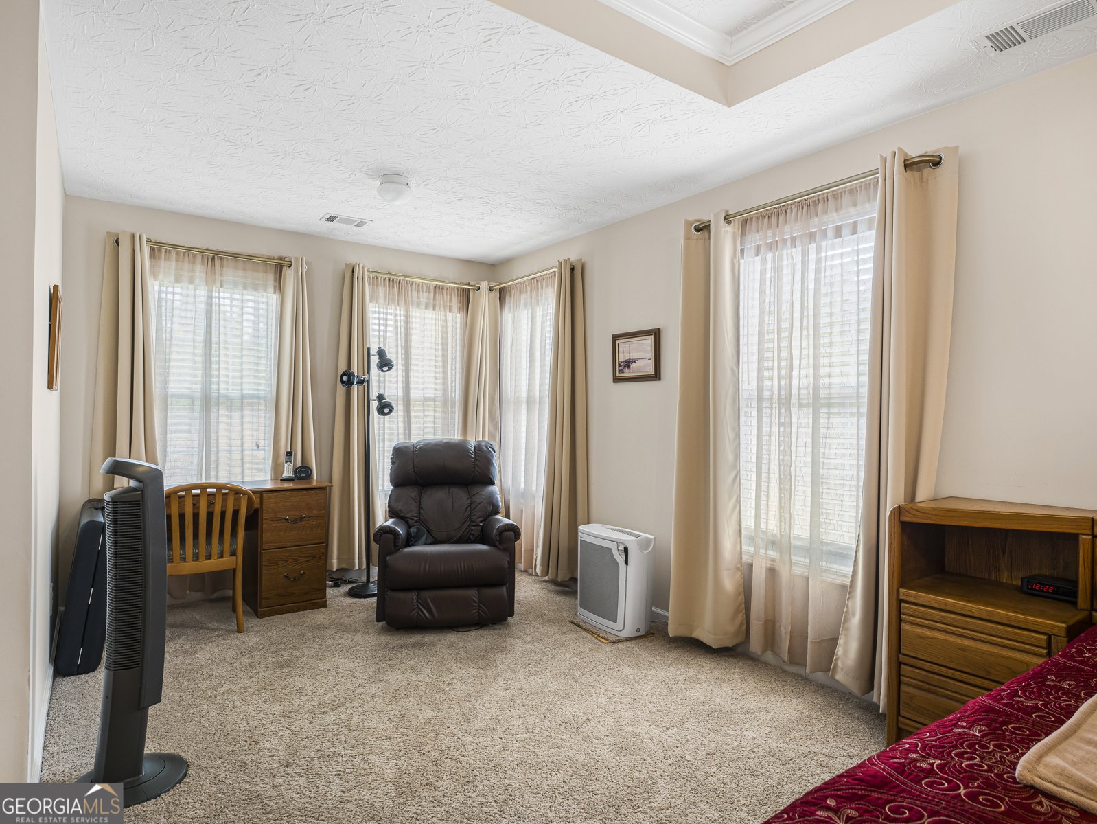 4543 Austin Hills Drive Suwanee - Photo 19