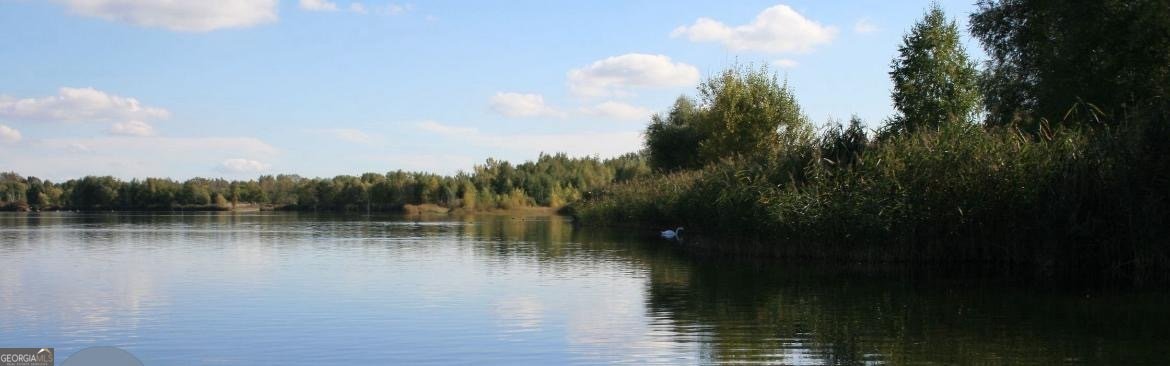 2931 Lake Jodeco Road Jonesboro - Photo 9