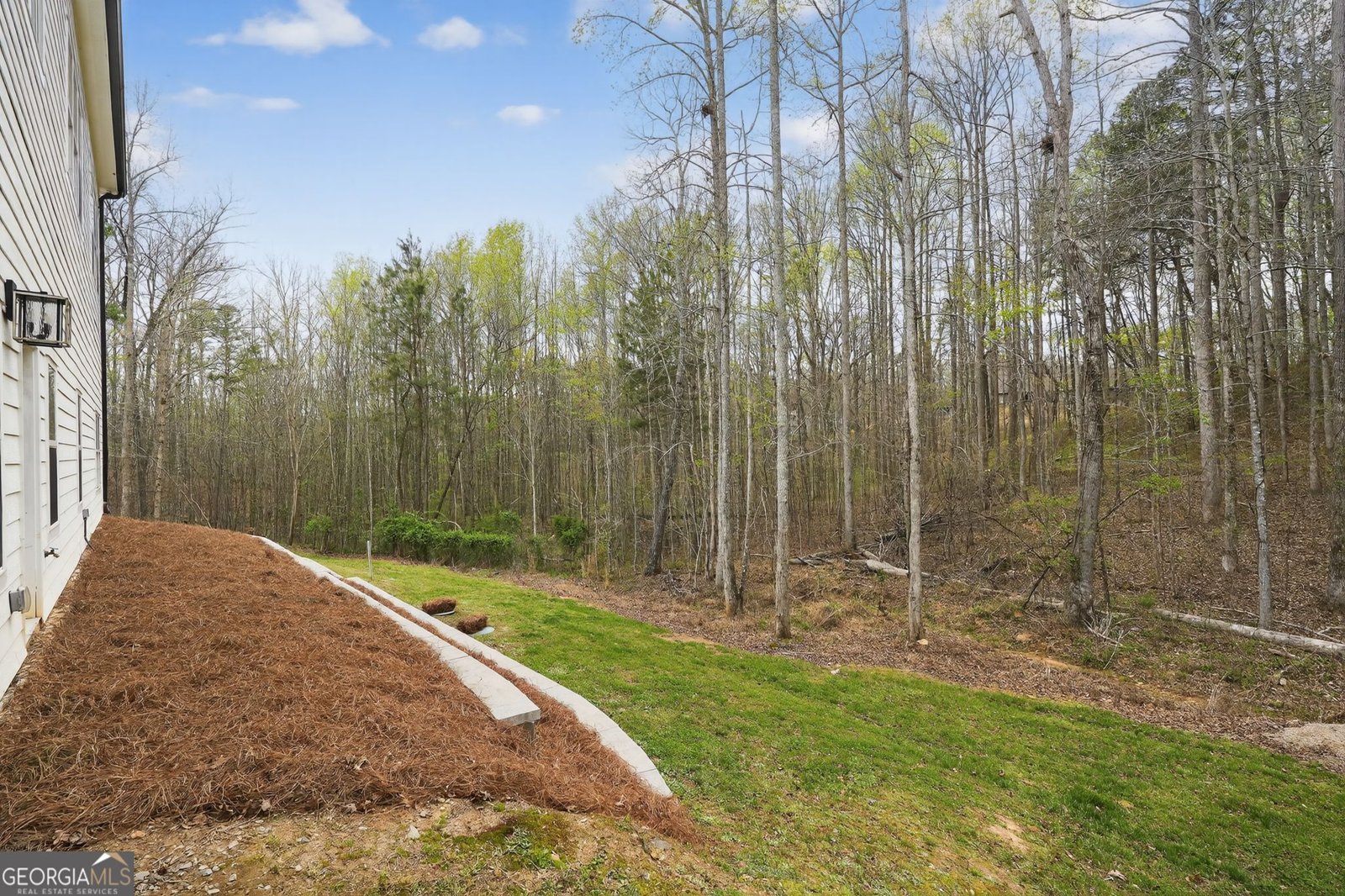 84 Timber Walk Dawsonville - Photo 24