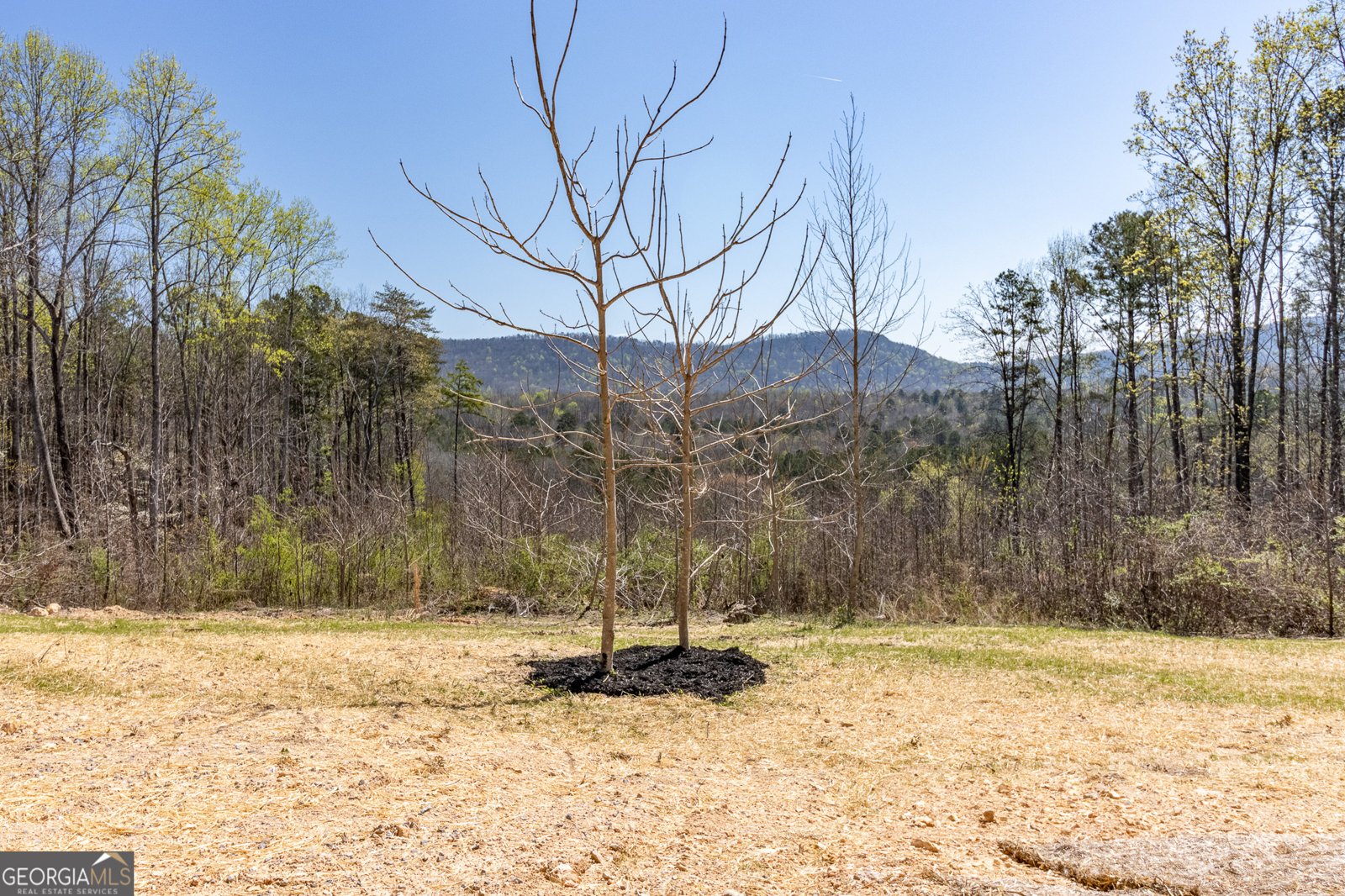 456 Ridge Estates Trion - Photo 18