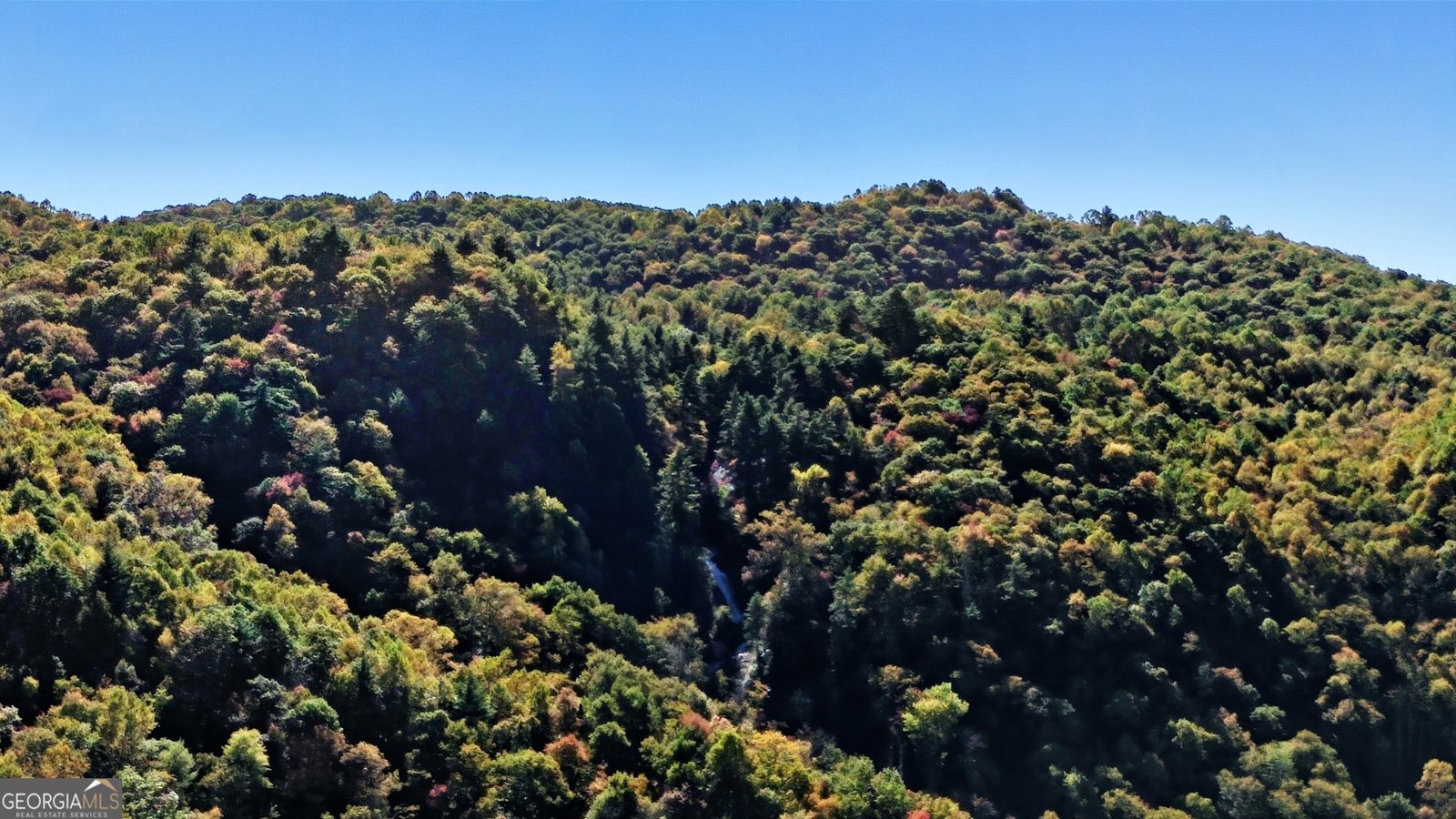 526 Granddaddy Still Road Scaly Mountain - Photo 39