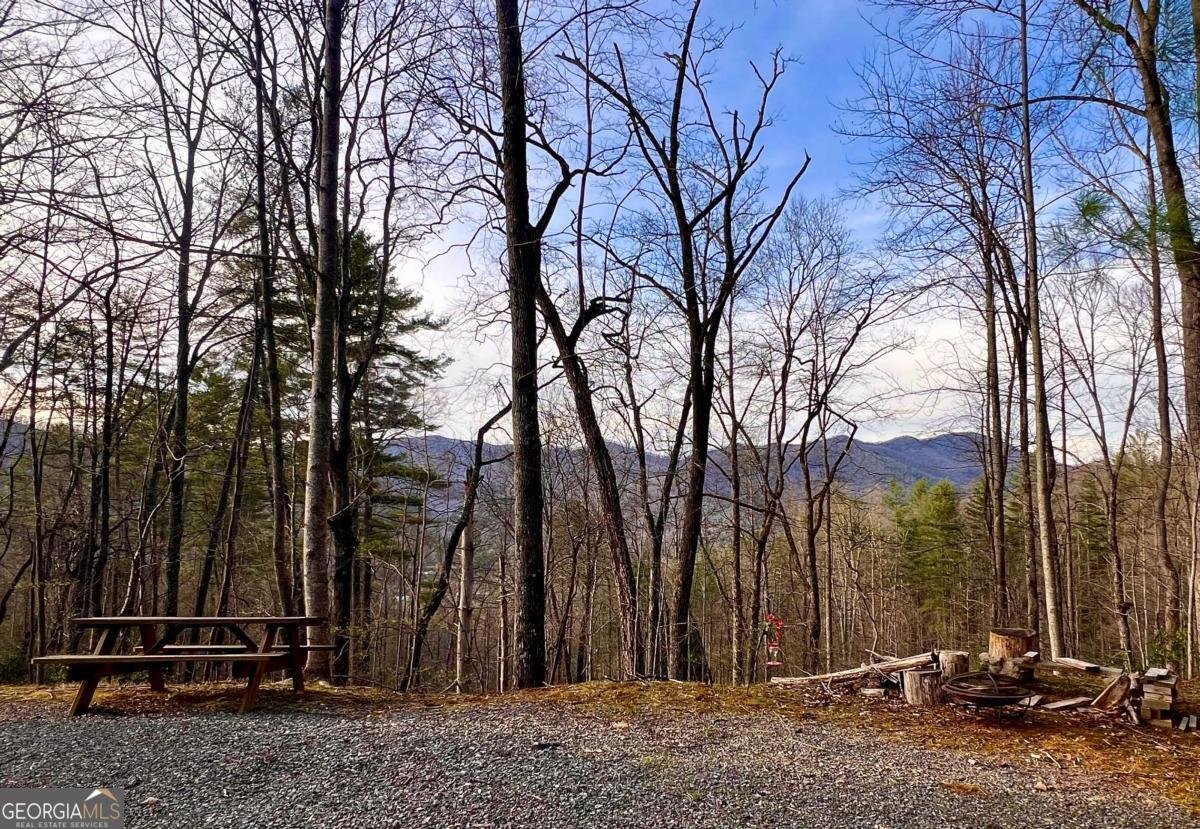 403 Barefoot Rise Hiawassee - Photo 29