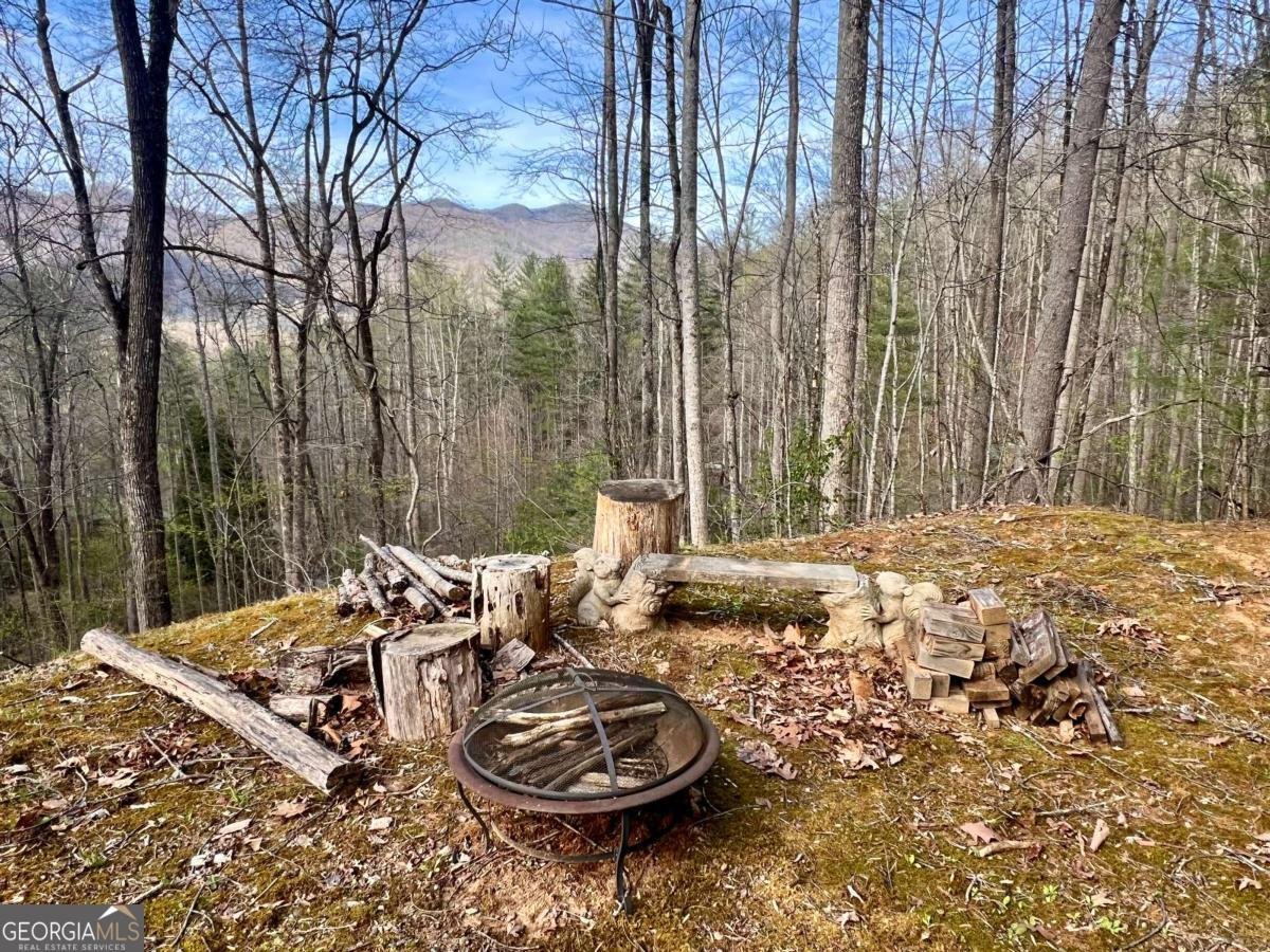 403 Barefoot Rise Hiawassee - Photo 30