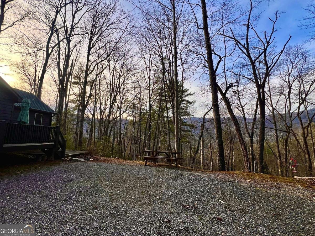 403 Barefoot Rise Hiawassee - Photo 31