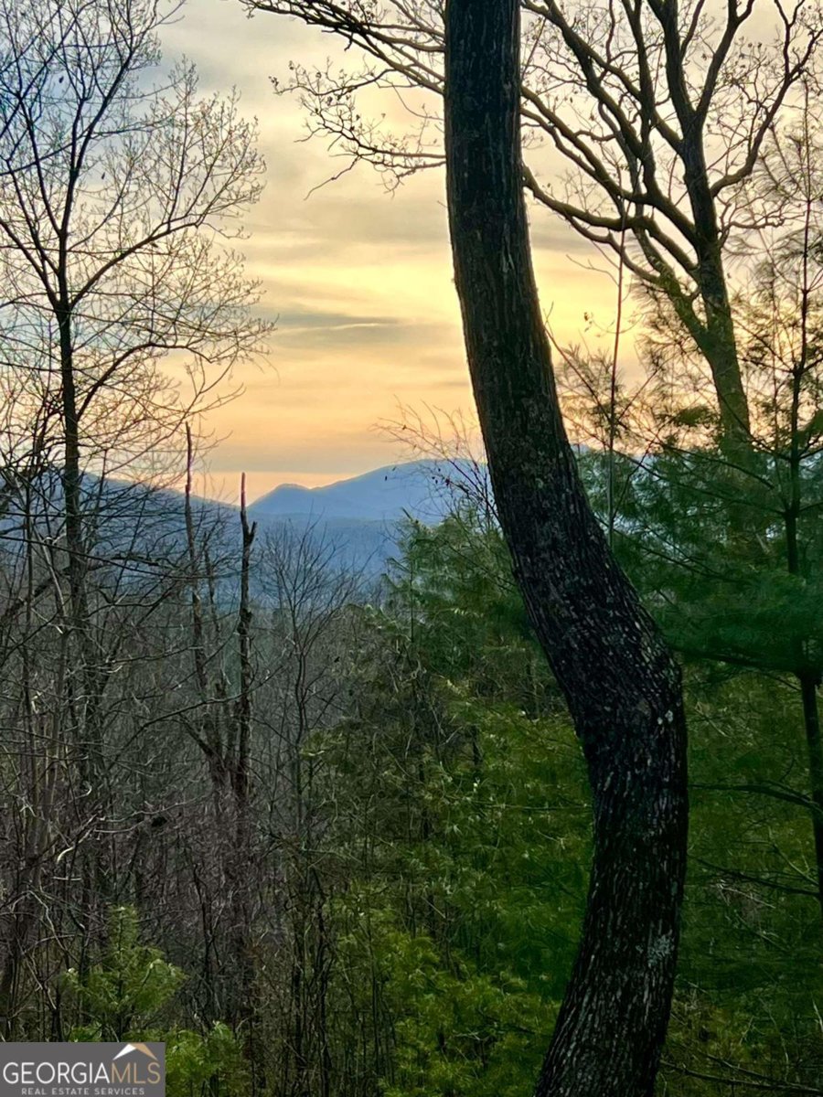 403 Barefoot Rise Hiawassee - Photo 7