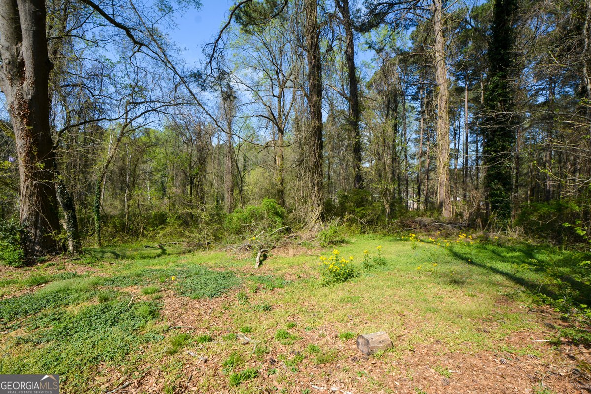 2493 Butner Road Atlanta - Photo 39