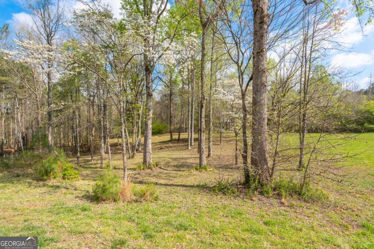 710 Little Vine Church Road Villa Rica - Photo 56