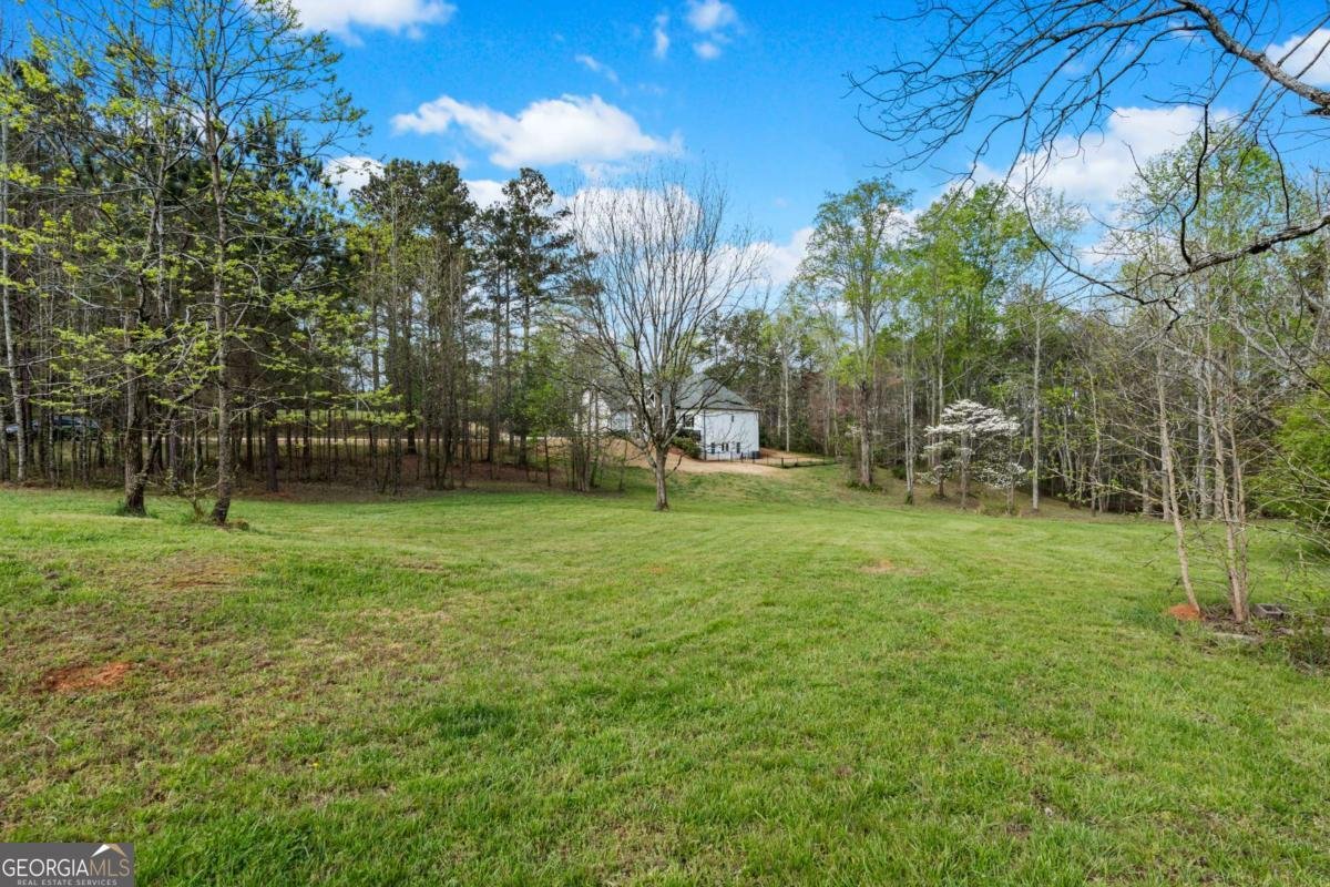 710 Little Vine Church Road Villa Rica - Photo 58