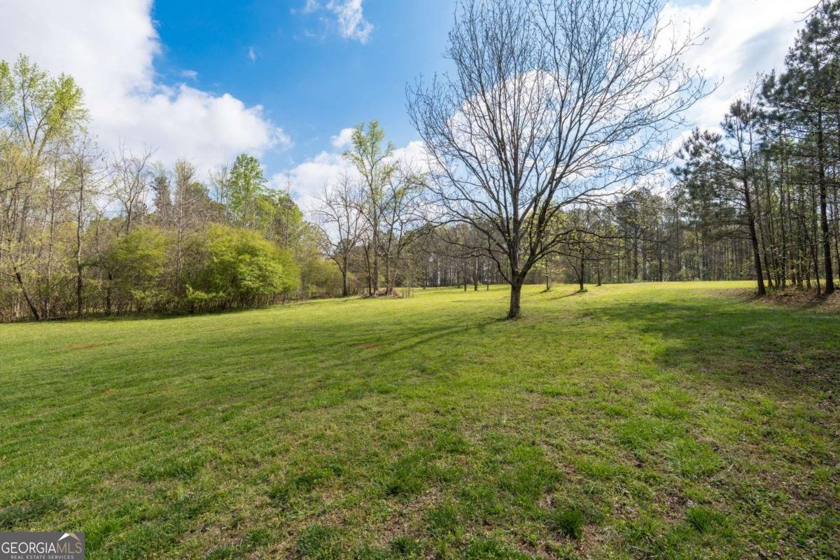 710 Little Vine Church Road Villa Rica - Photo 59