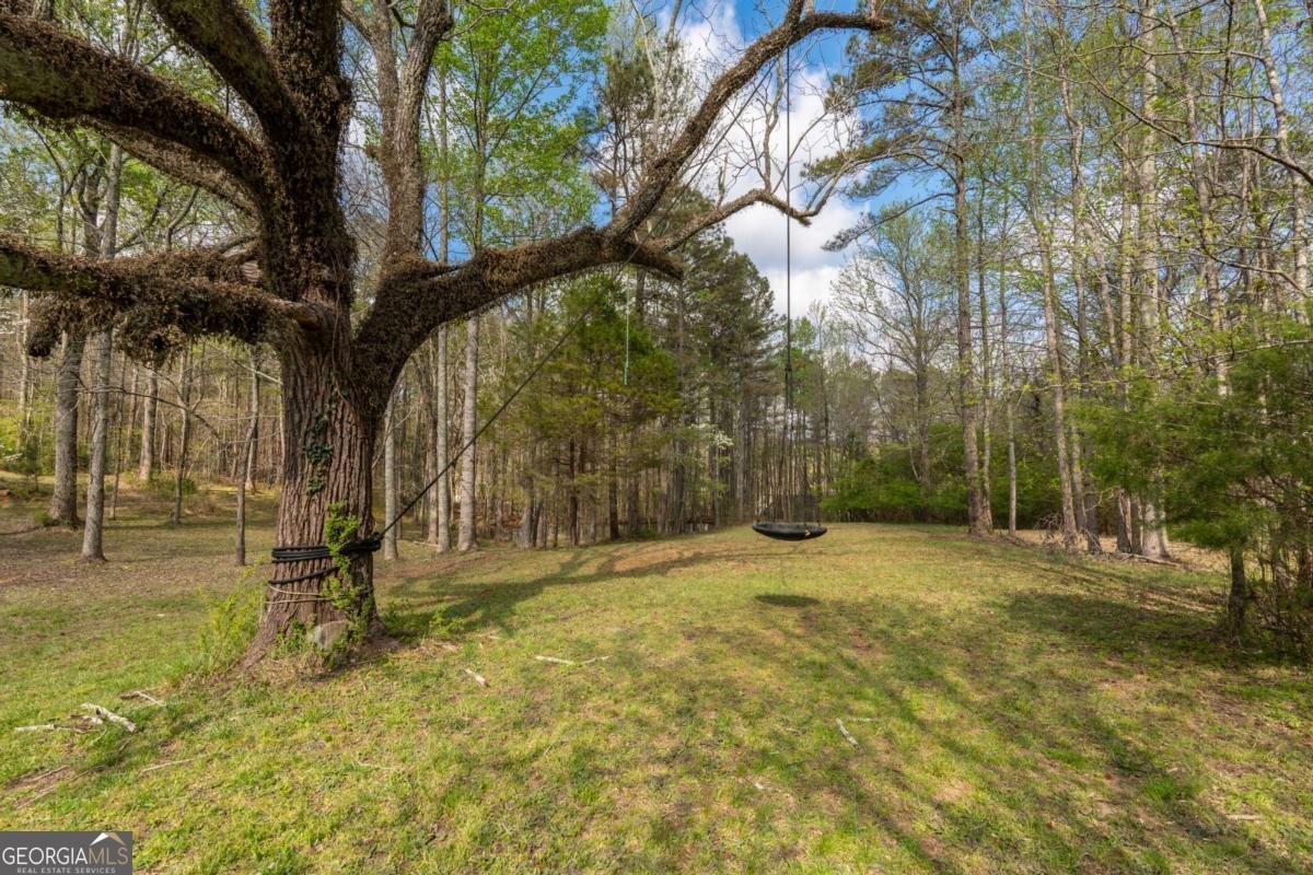 710 Little Vine Church Road Villa Rica - Photo 60