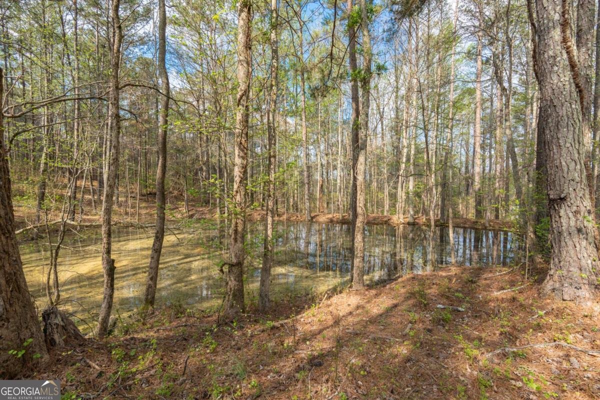 710 Little Vine Church Road Villa Rica - Photo 61