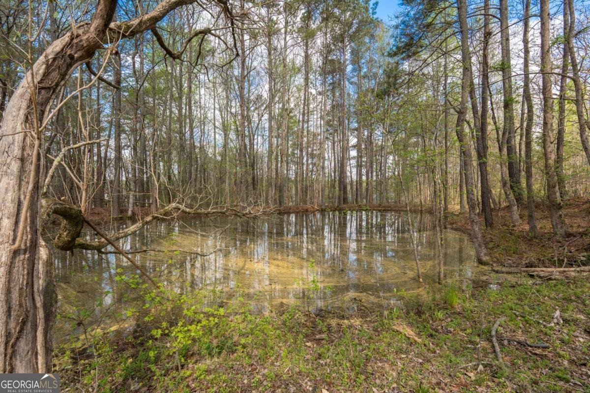 710 Little Vine Church Road Villa Rica - Photo 62