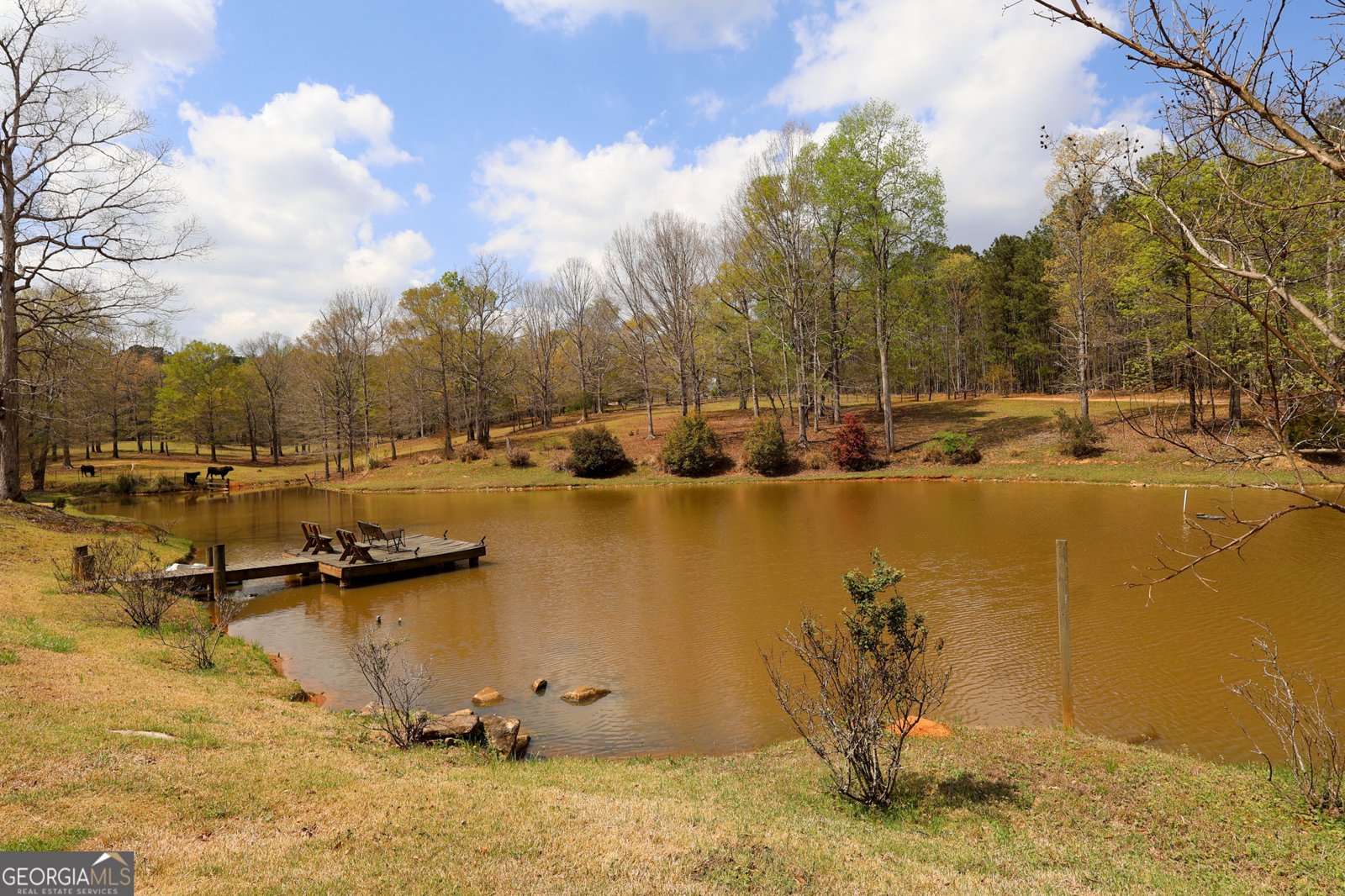 198 Higgins Road Flovilla - Photo 83