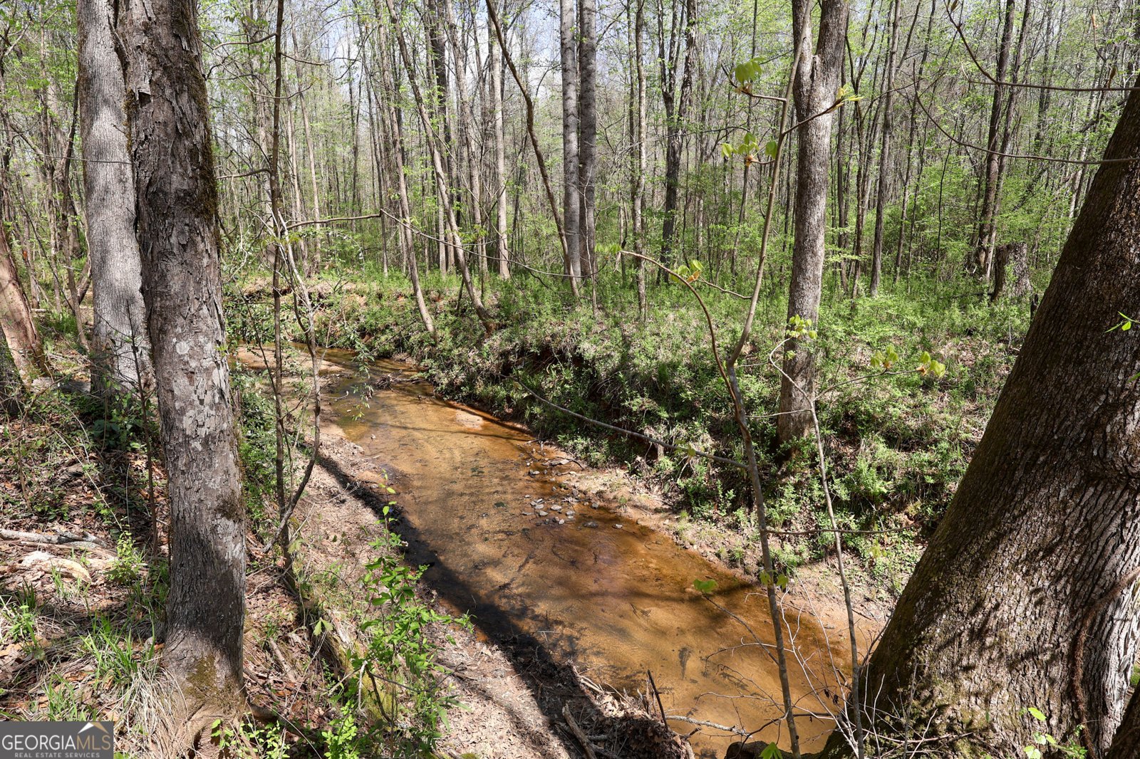 198 Higgins Road Flovilla - Photo 85