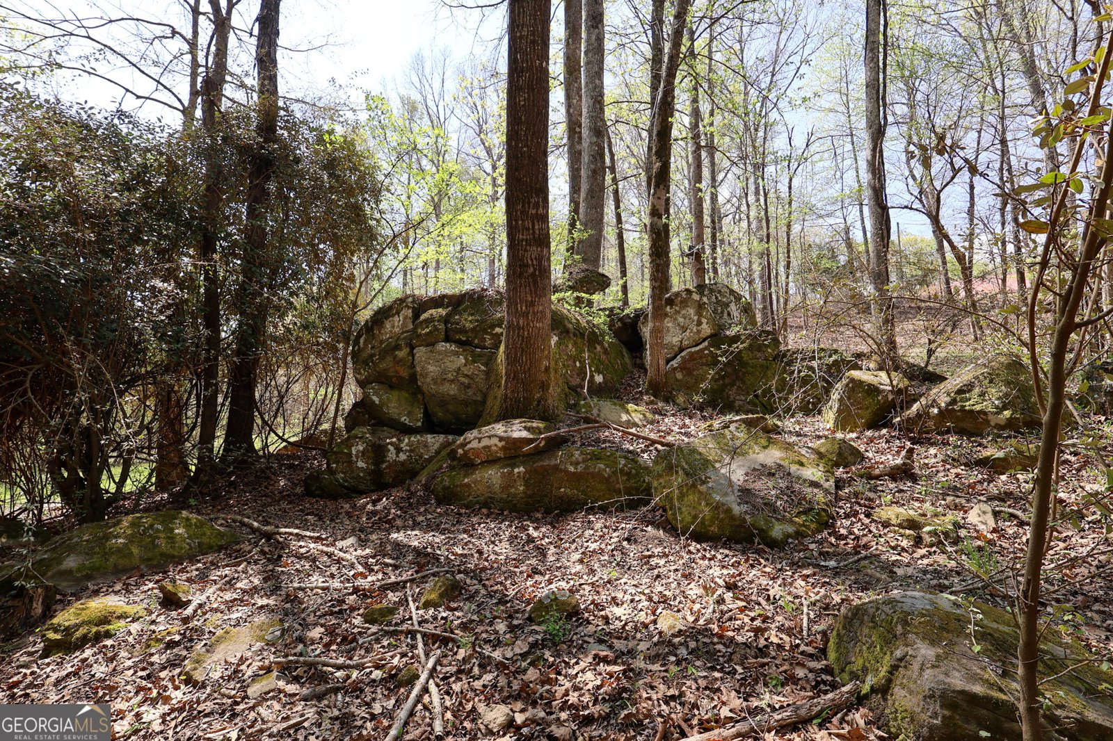 198 Higgins Road Flovilla - Photo 86