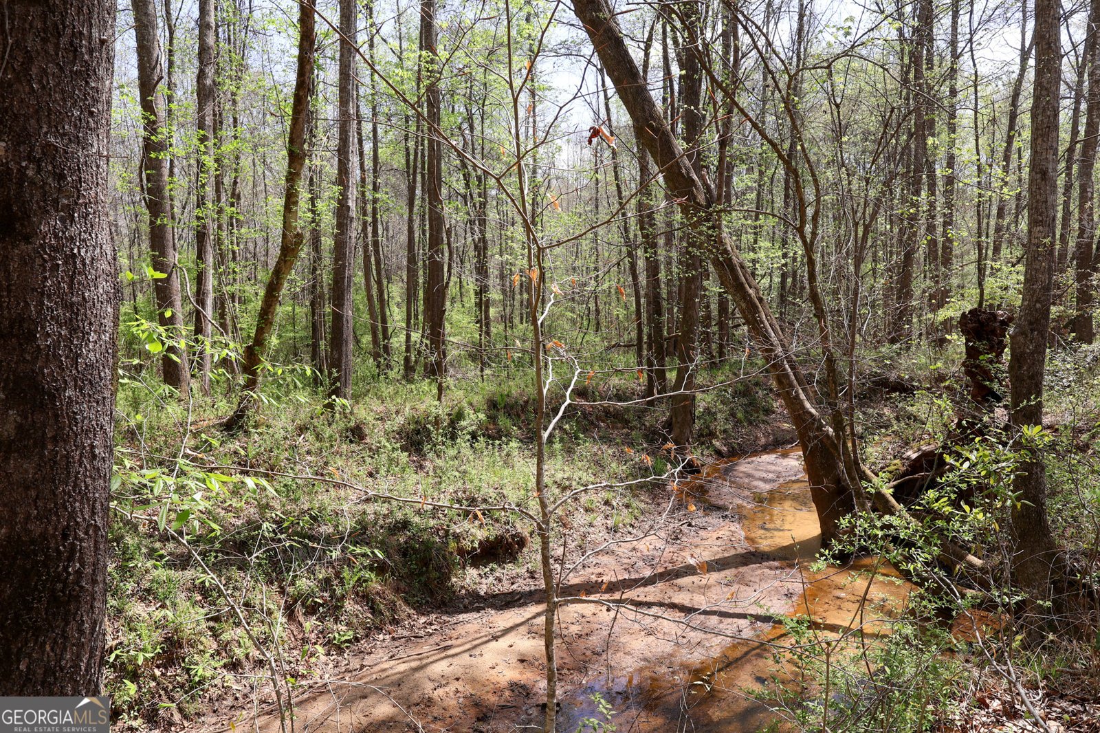 198 Higgins Road Flovilla - Photo 87