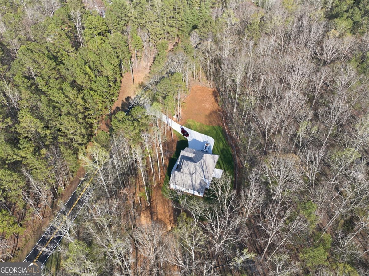 5011 Liberty Road Villa Rica - Photo 60