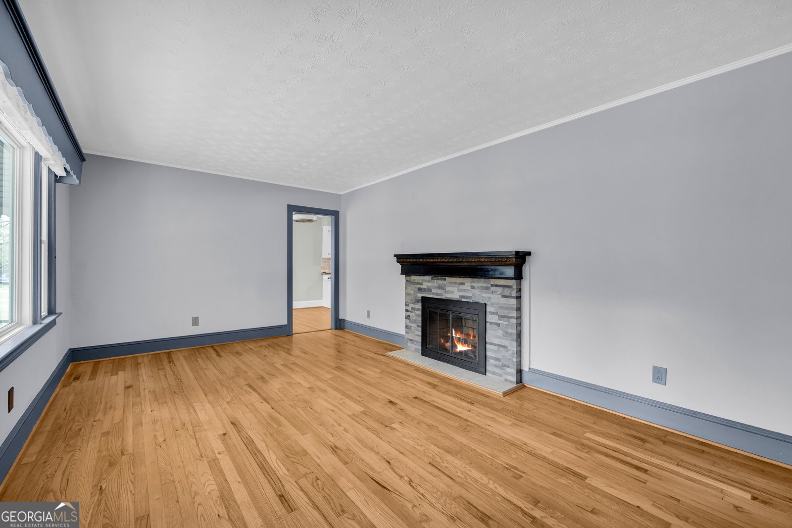 170 Johnny Street Hartwell - Photo 30