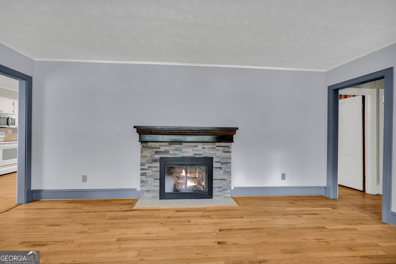 170 Johnny Street Hartwell - Photo 34